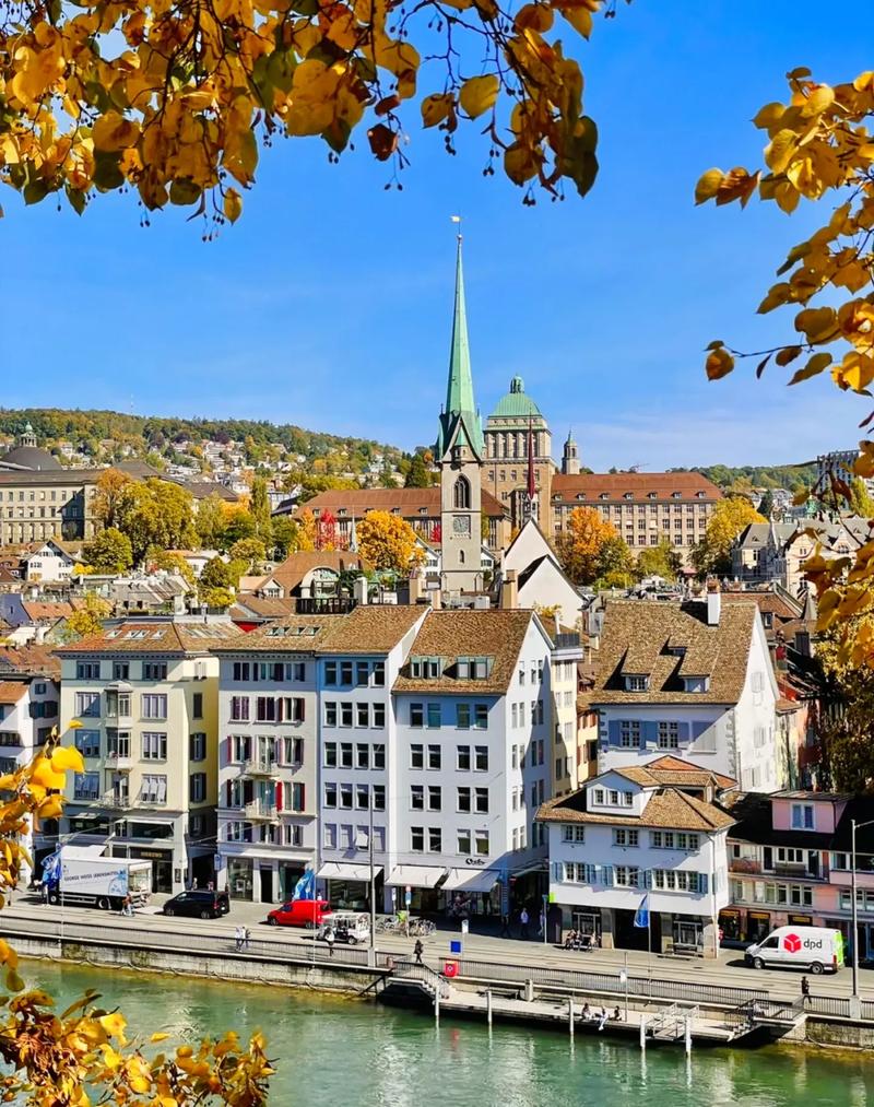 纽约州立大学宾汉姆顿分校